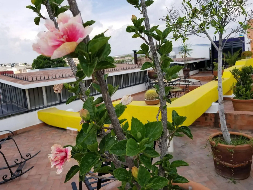 Hotel Suites Sofia
