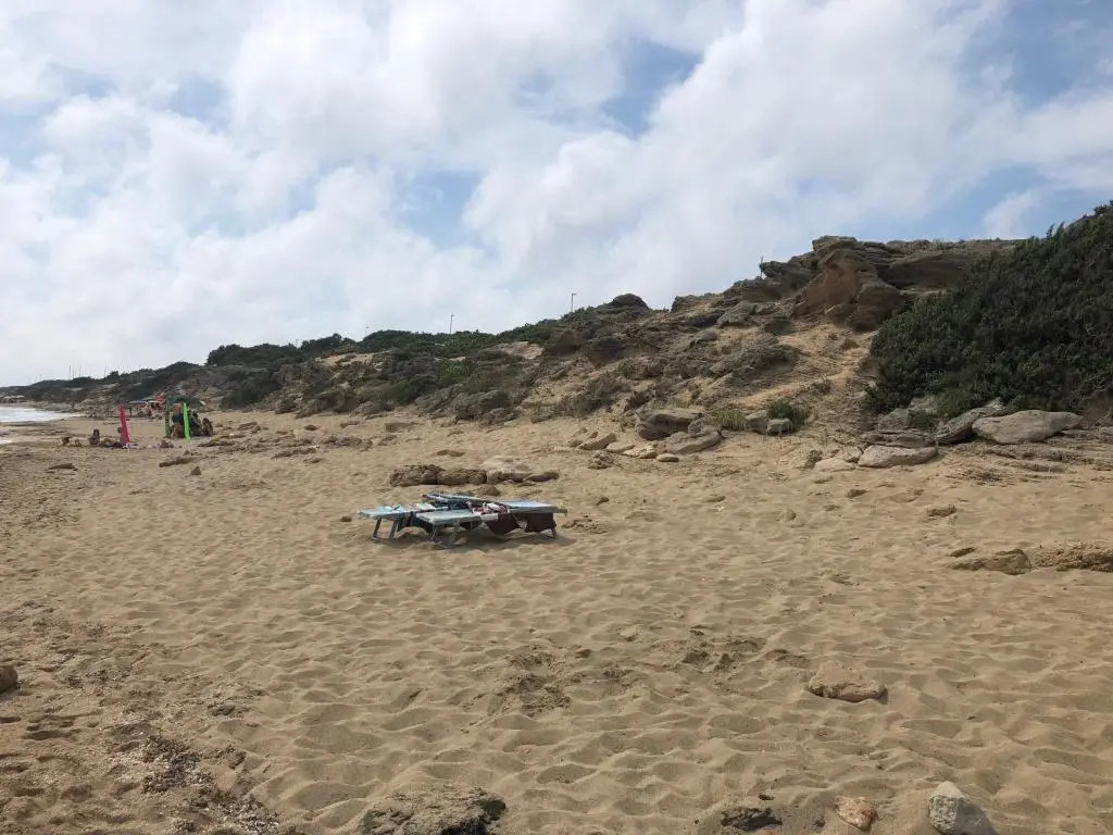 FICOMORO surf house