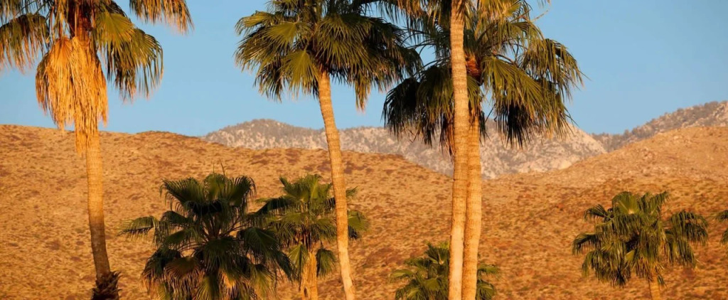 Hotel California - A Town & Desert Boutique Hotel