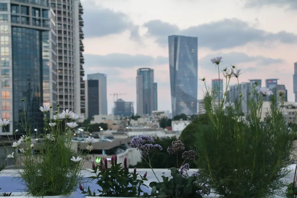 Bograshov Penthouse steps from the beach