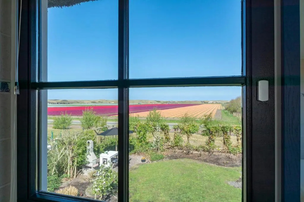 Buitenplaats villa 113 - Callantsoog