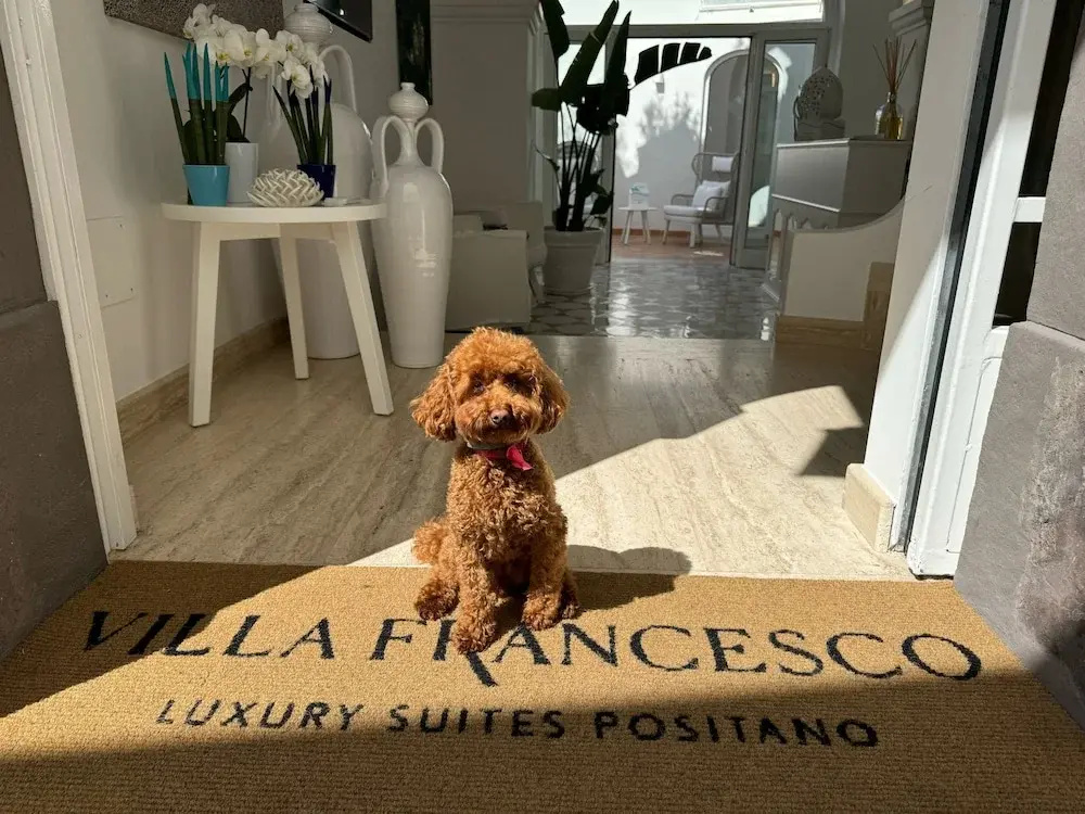 Villa Francesco Luxury Suites
