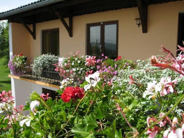Pension "Haus Falle"