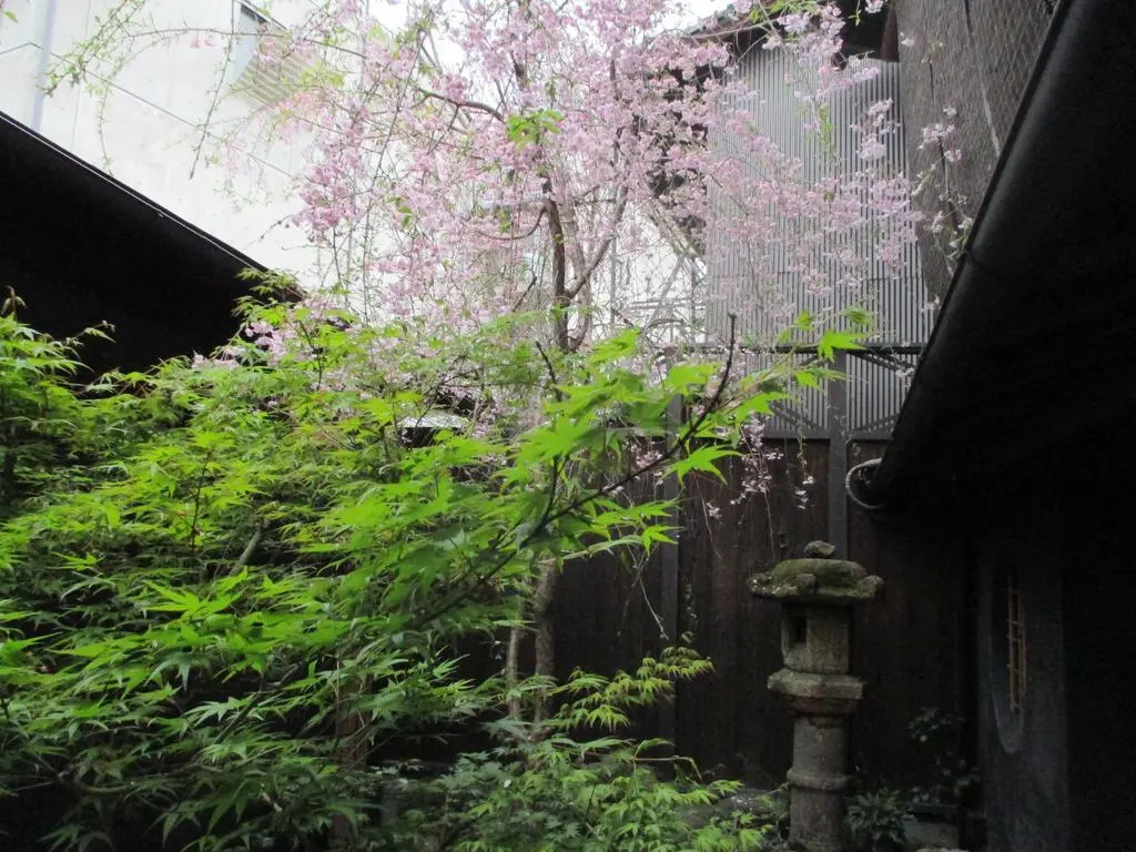 Kyoto - House / Vacation STAY 43223