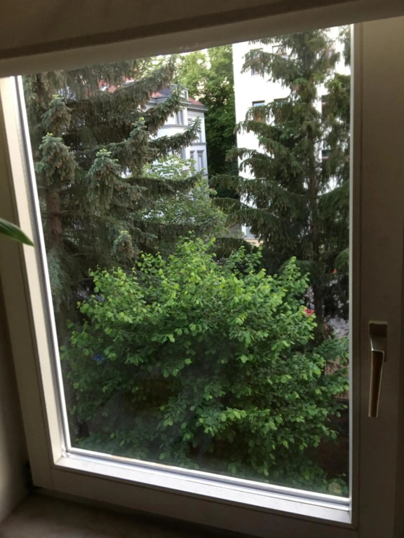 Apartment Ferienwohnung Blumenstadt
