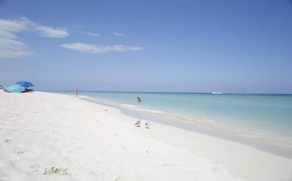 Castle Beach Club Apartments