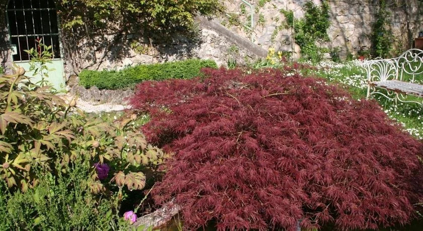 LAcero Rosso