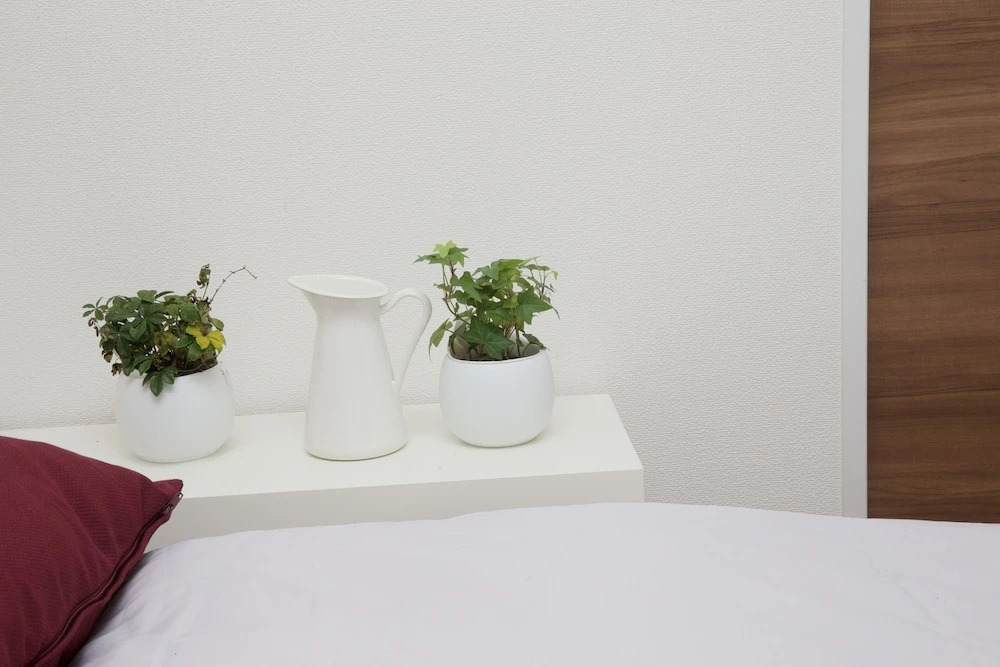 Nishi-Sugamo Guest House. 2min to Nishi-Sugamo Sta. 13min to Ikebukuro Sta.
