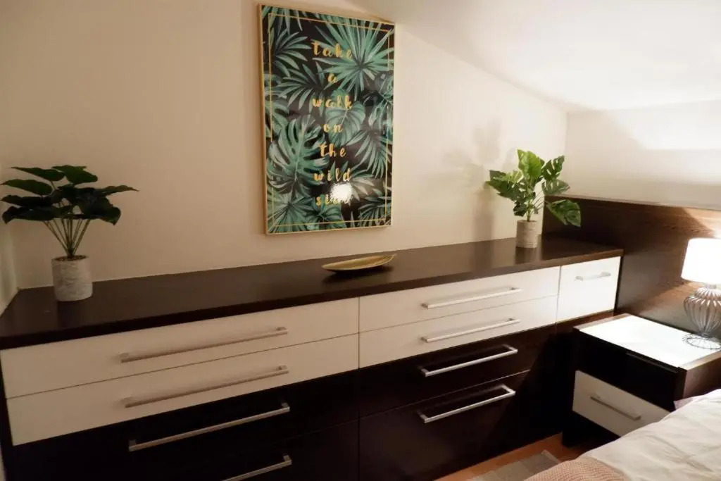 Apartman v centru mesta s vyhledem na Petra