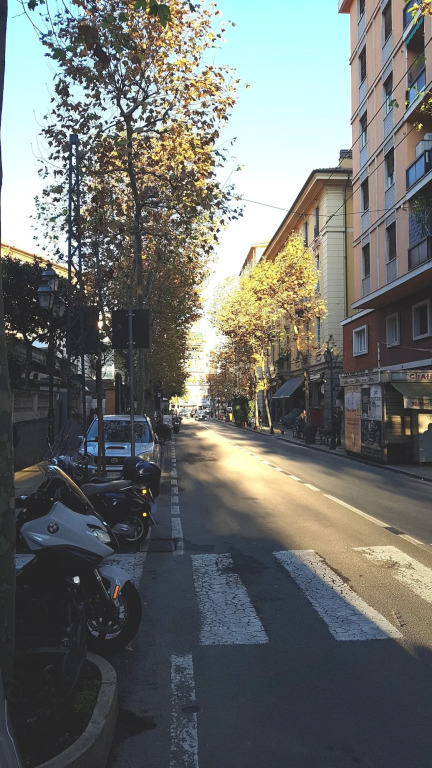 Le camere del Corso