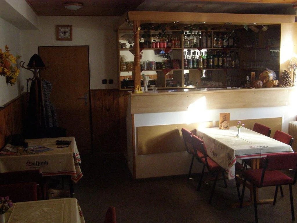 Penzion Borovice