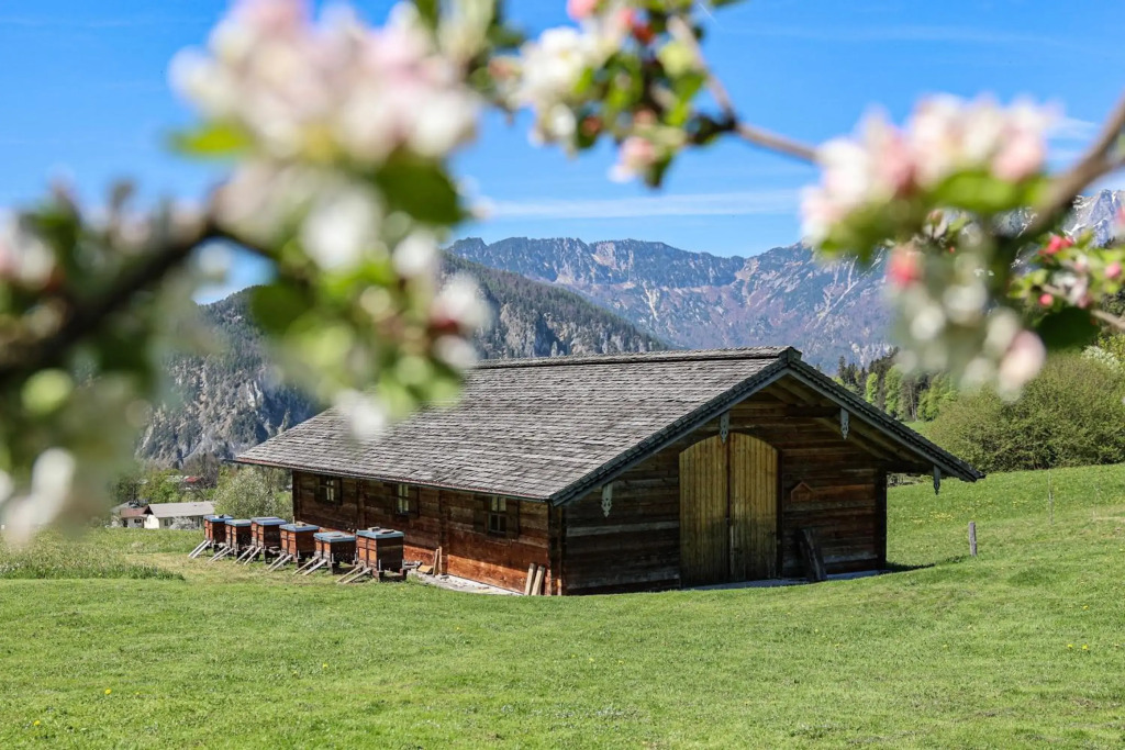 Ferienwohnung Antenbichllehen