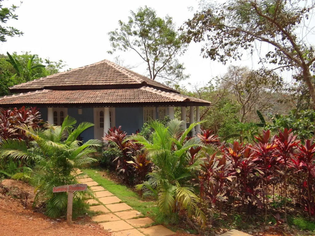 Wildflower Goa
