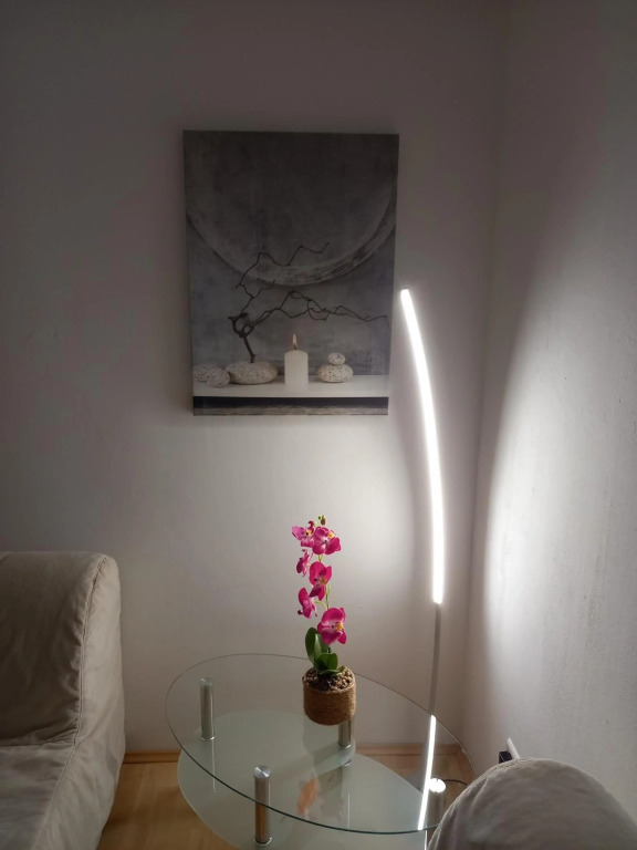 Apartment near downtown