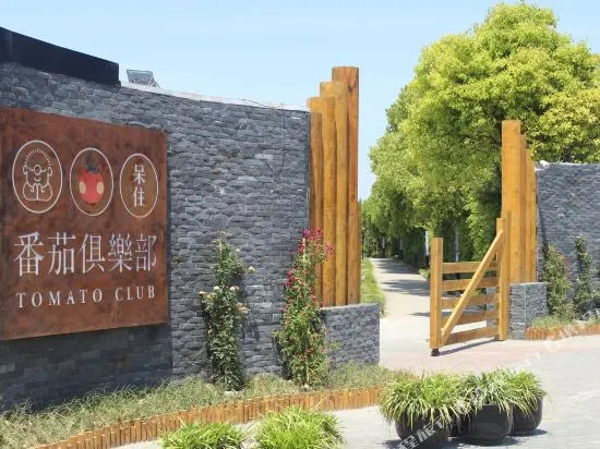 Dasein Tomato club