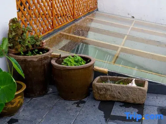 Nanshan Bamboo Sea Horse Road Homestay