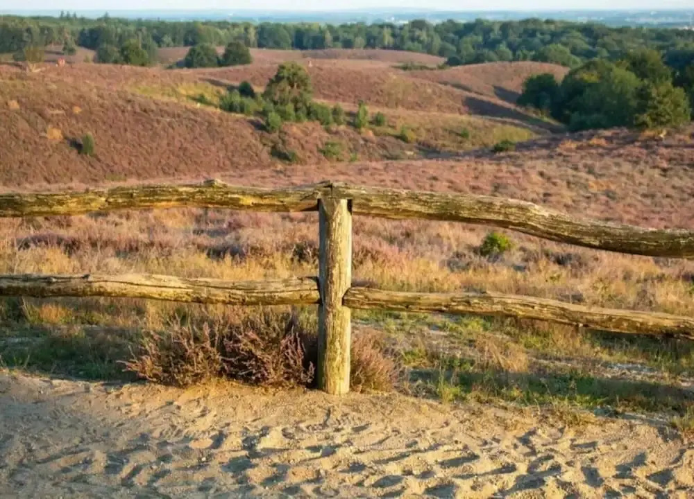 Pets Welcome, Veluwe Farmhouses for All