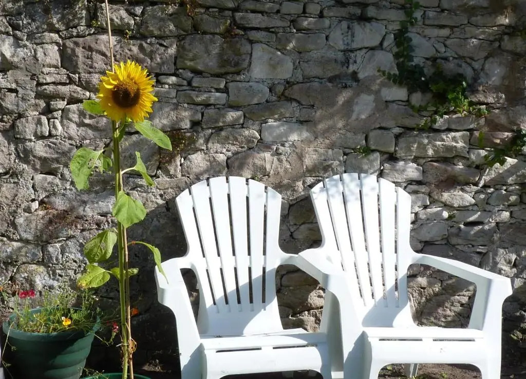 Rose cottage