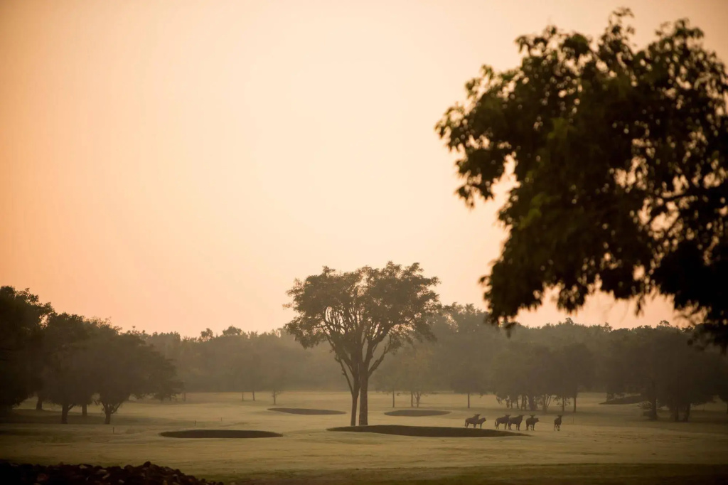 Nkonyeni Lodge & Golf Estate