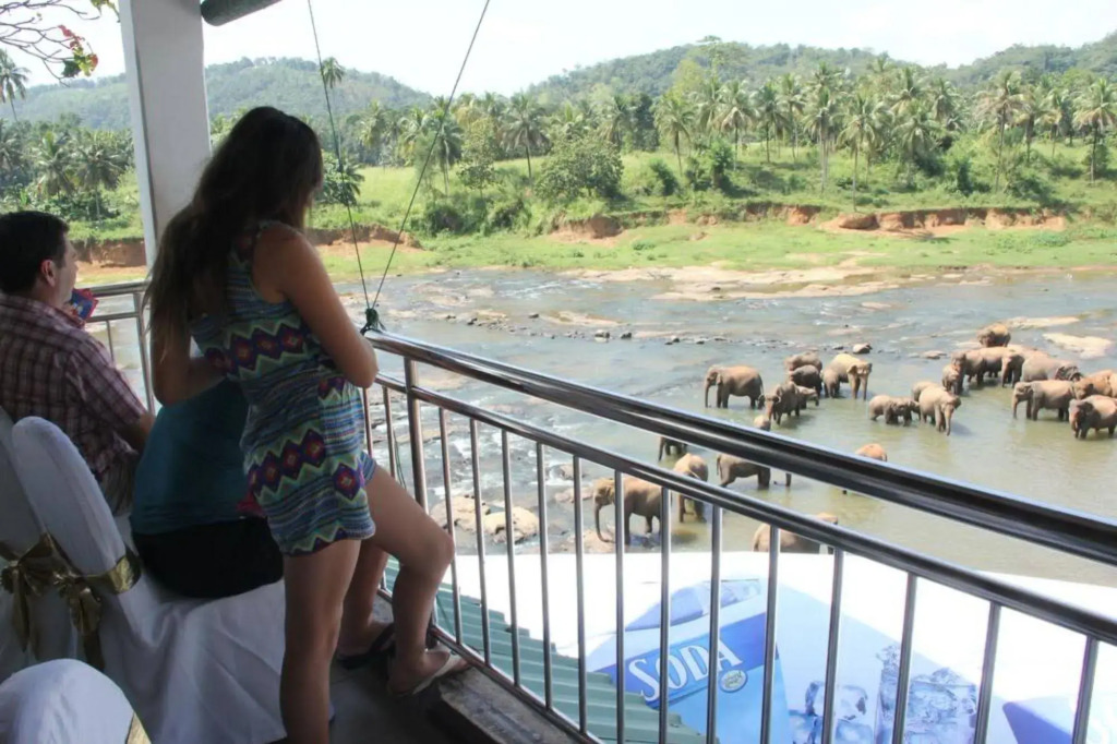 Elepath Lodge Pinnawala