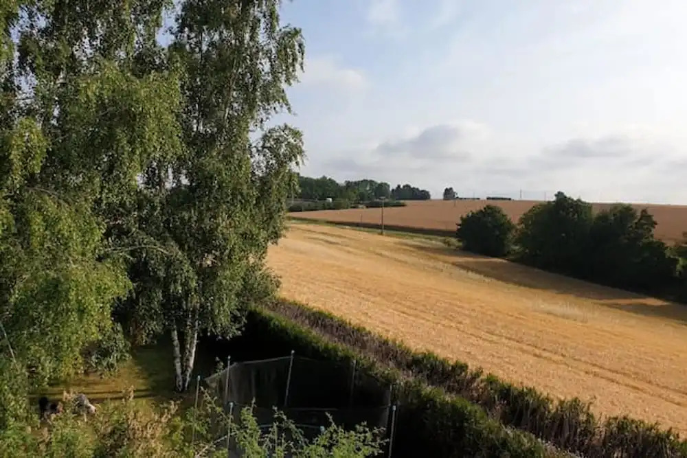 Property With 4 Bedrooms in Morsains, With Enclosed Garden
