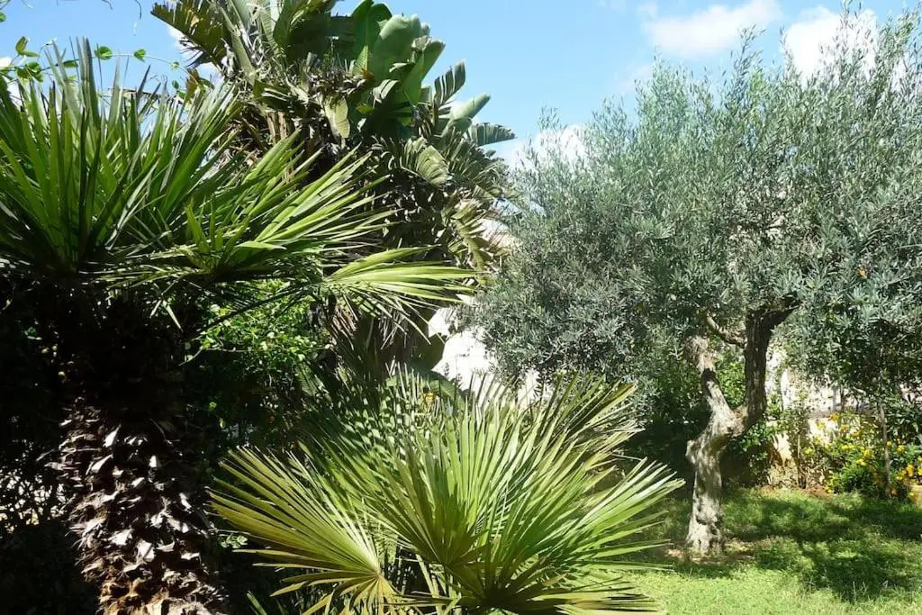 Villa Pino with exclusive private pool only 50m from the beach