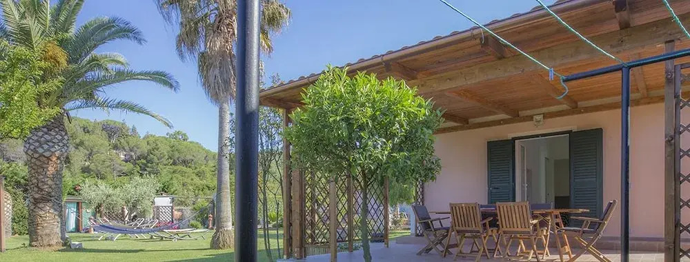 Albero Del Pepe 2