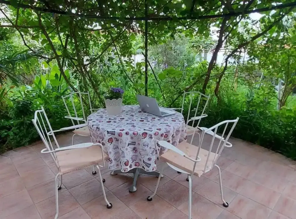Green Garden Oasis