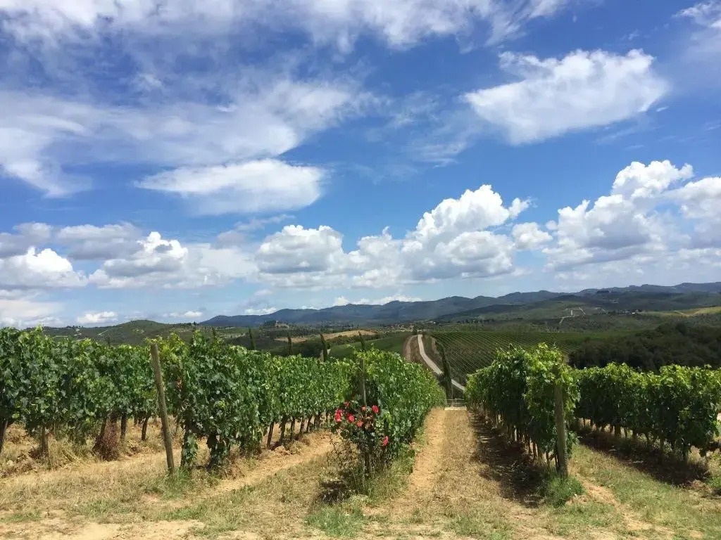 Wine Resort Dievole