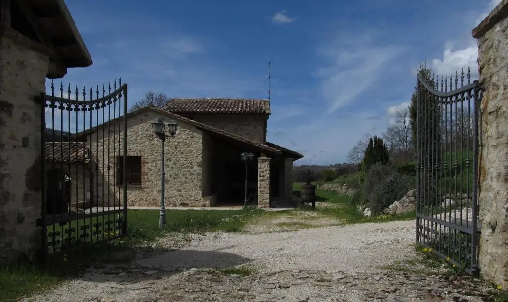 Il Vignale