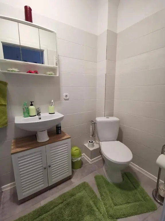 Apartment Viktoria