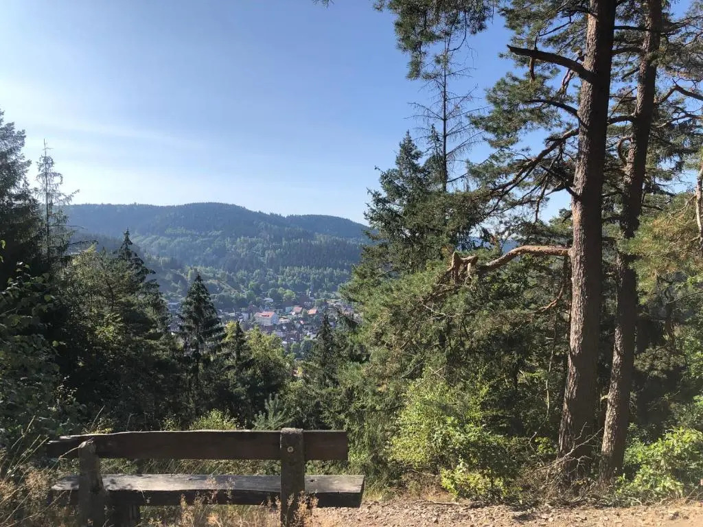 Ferienhaus Sequoia