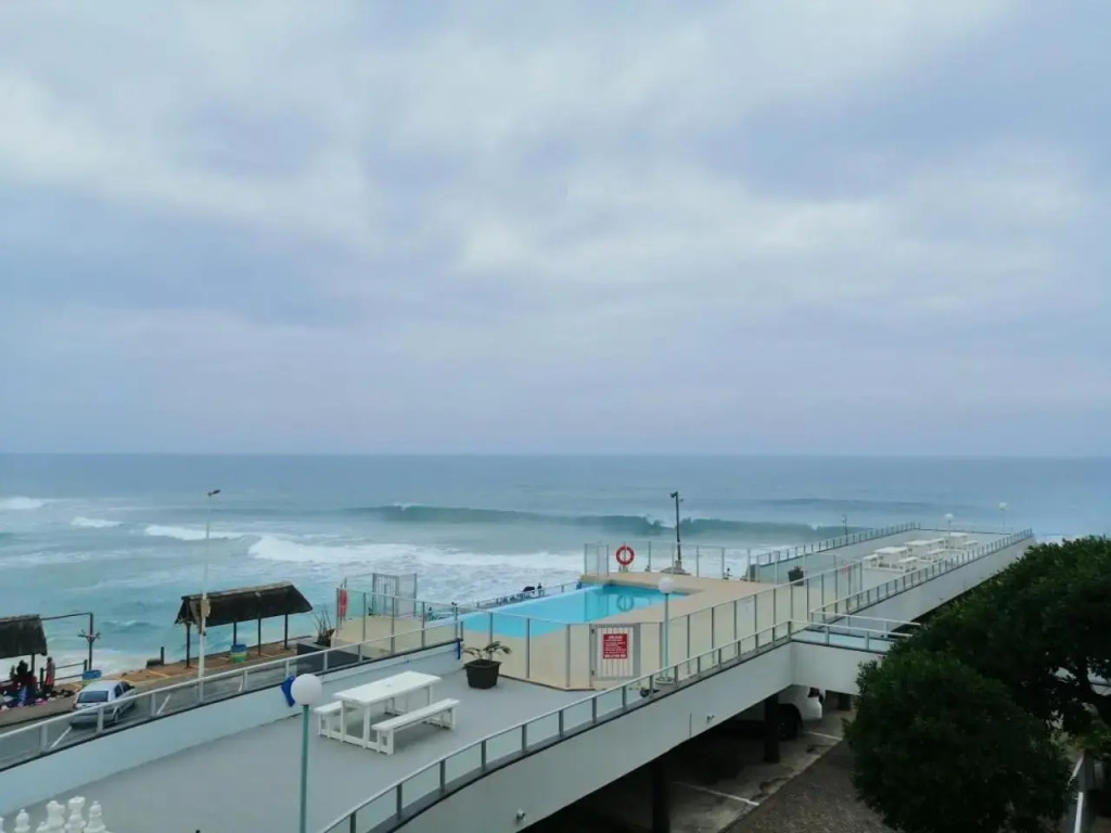 Seagull 503