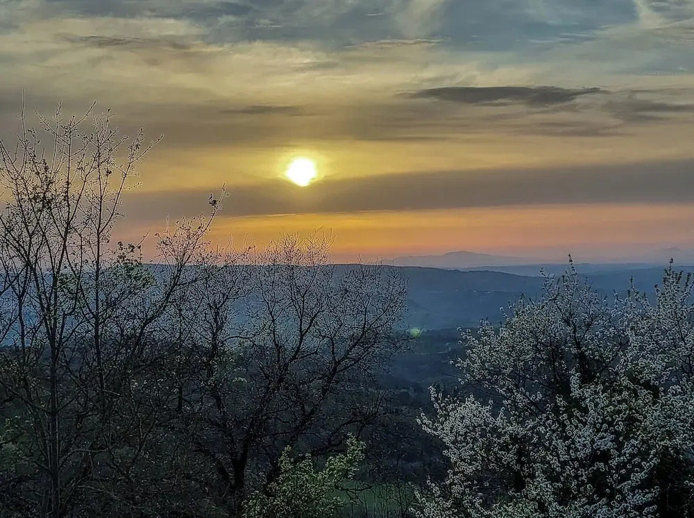 La Casa Nel Bosco D’arte - Passo del Sugame, Greve in Chianti