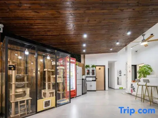 Three Lives · Blooming Pool Homestay (Sanya West Island Branch)