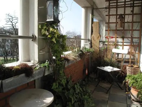 Treetop Apartment