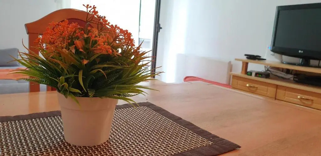Apartment Caka