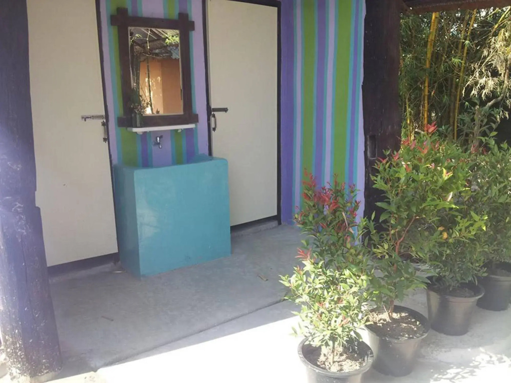 Purple Monkey Backpackers