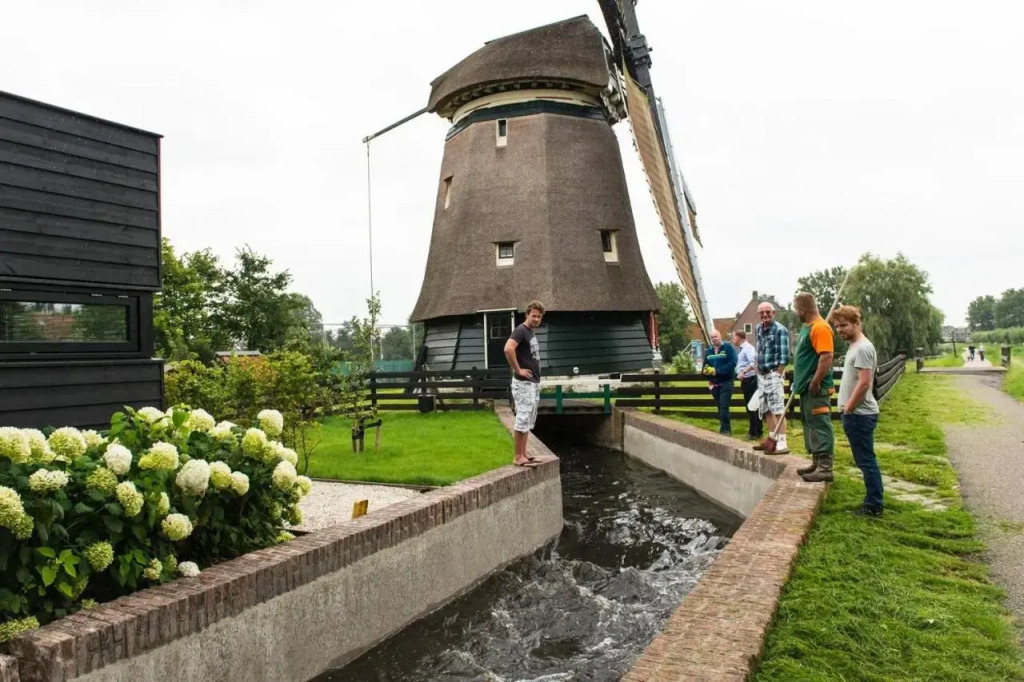 De Walvisch