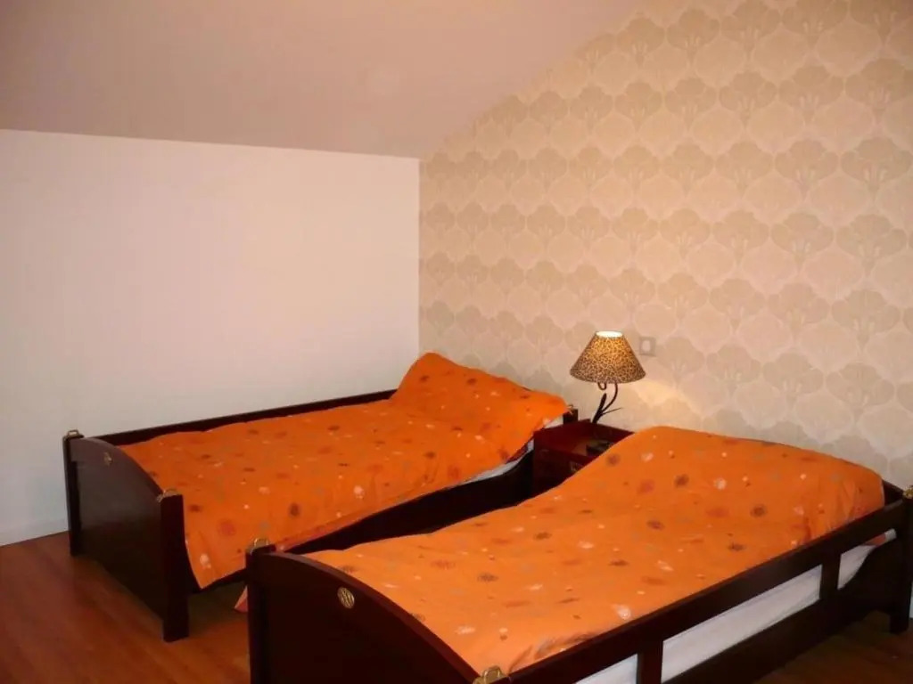 Grand Gîte 6 Chambres avec Cheminée, Animaux Acceptés, Campagne Lyon-Roanne - FR-1-496-65
