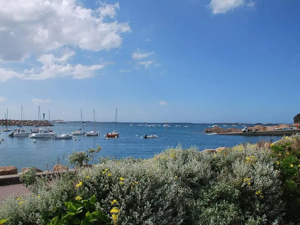 Superbe Maison Avec Jardin, Proche Plage, Chiens Admis - Fr-1-542-25