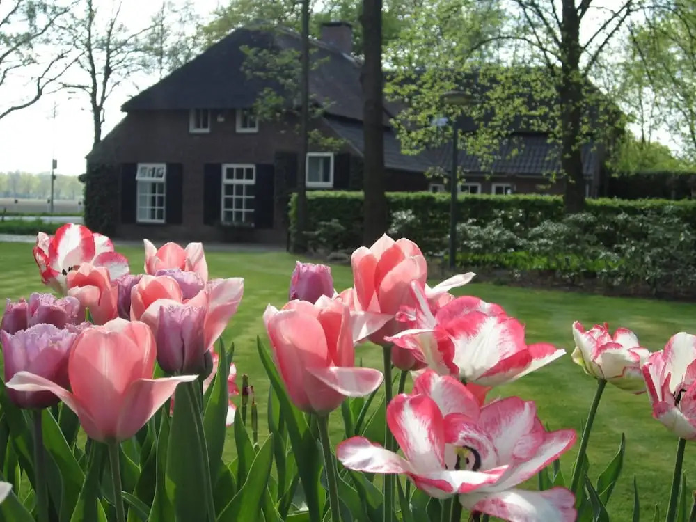 B&B Hoeve Nijssen