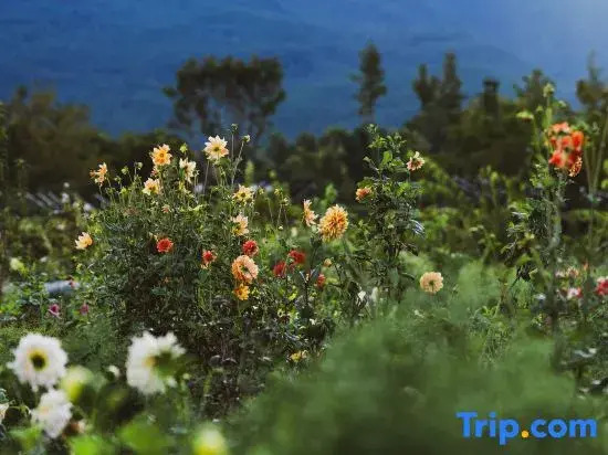 Mountain · Sanxia Underdream Hygge Lodge Manor