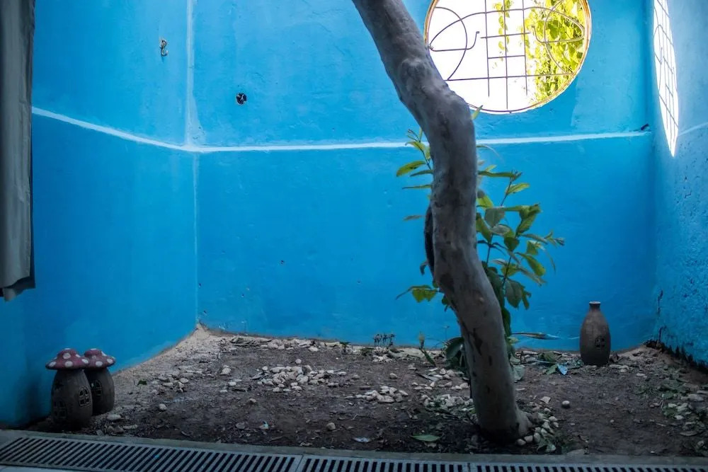 Hostal Sopro de Iemanja
