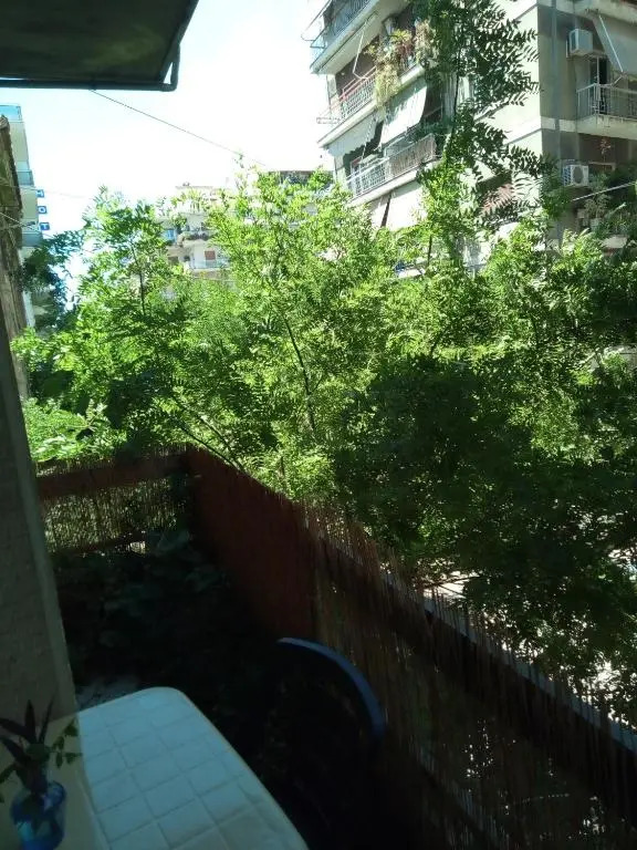 Central Apartment