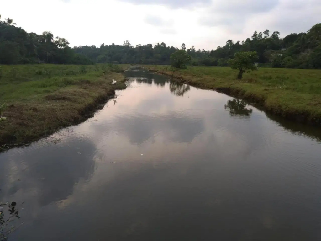 Jungle Villa - Induruwa