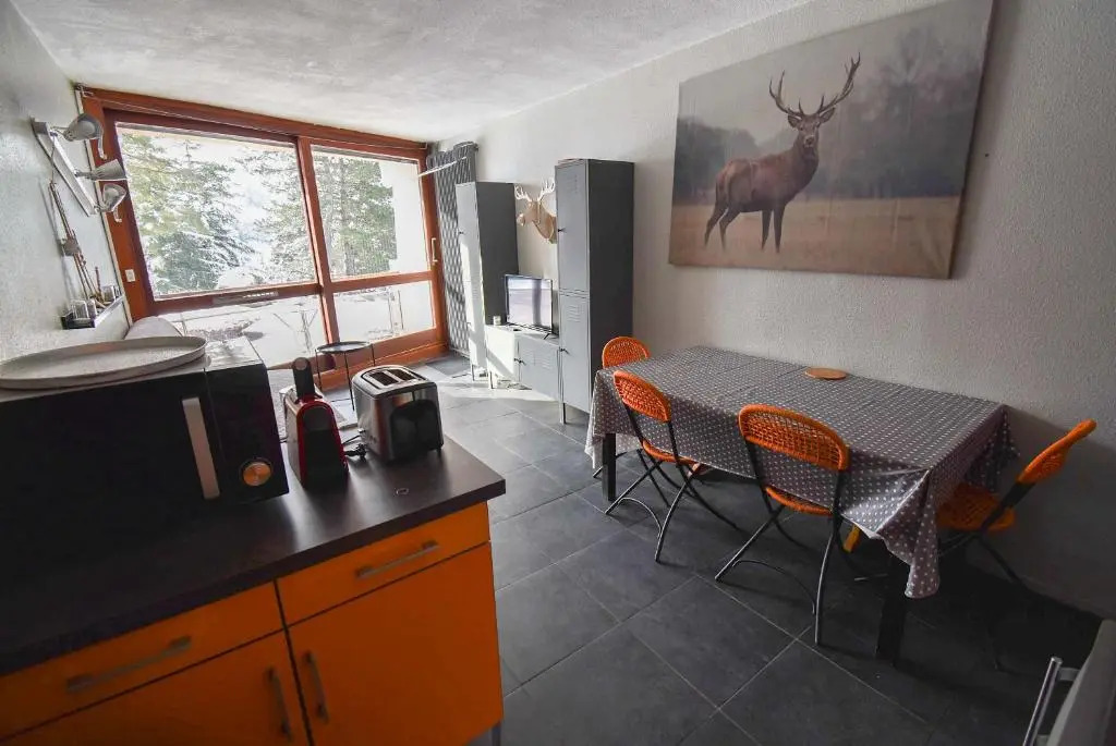 Les Balcons de Villard, Studio Chaleureux 4-6 PERS 50m des pistes, Balcon exposé Sud, DRAPS NON COMPRIS