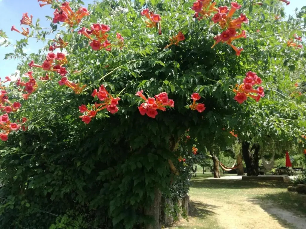 le gite des 3 saules