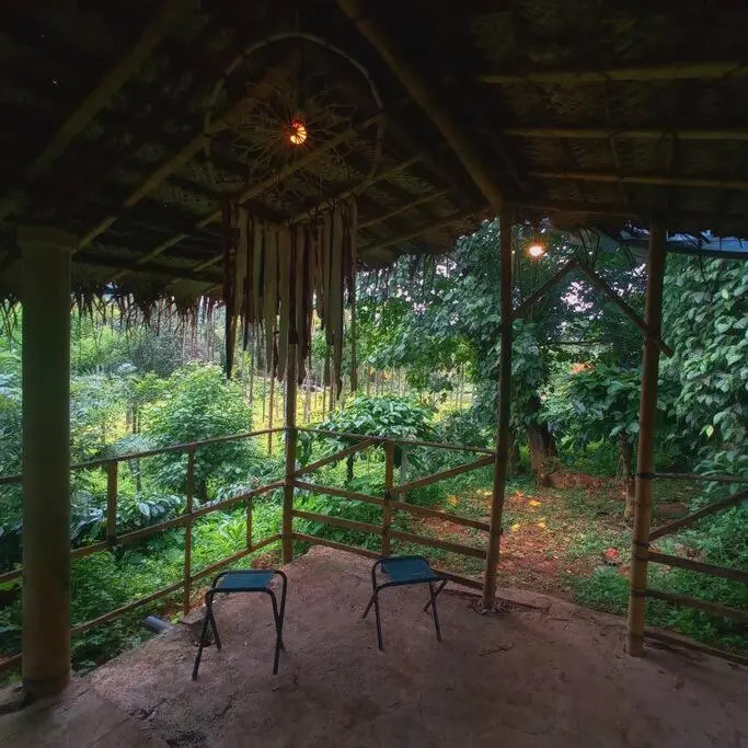 Thondar Homestays