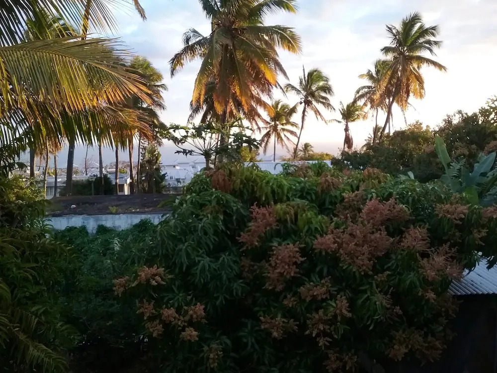 Studio in Saint pierre, With Enclosed Garden and Wifi Near the Beach
